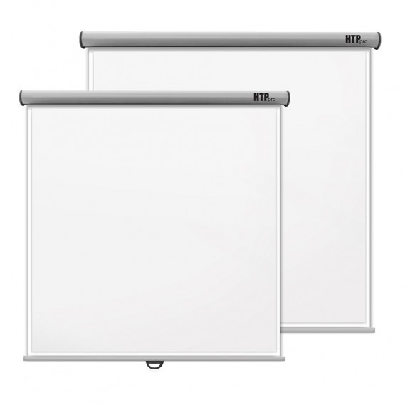  MANUAL PROJECTION SCREEN