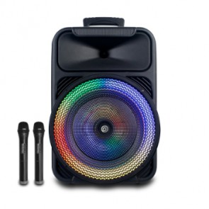 בידורית 2000W עם 2 מיקרופונים אלחוטיים