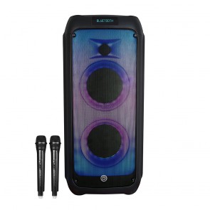 בידורית 600W עם 2 מיקרופונים אלחוטיים מבית Pure Acoustics
